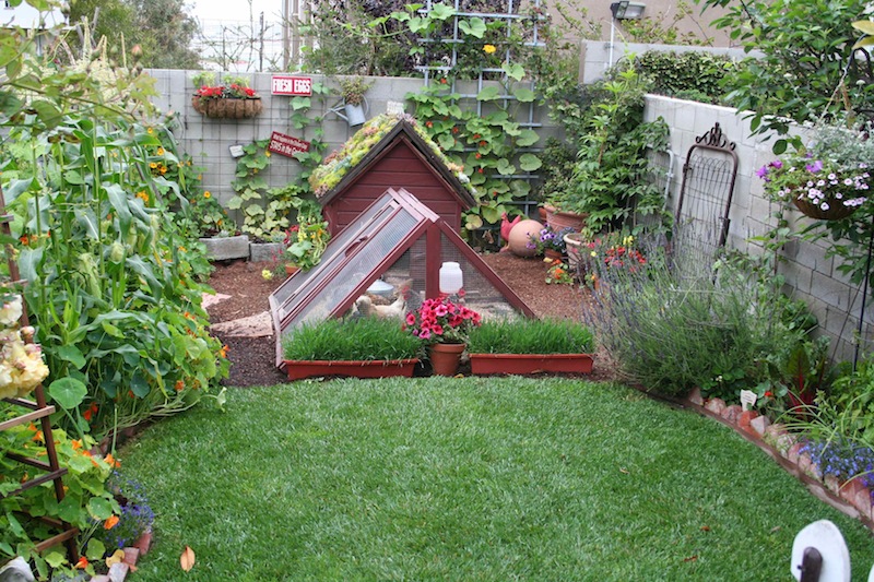 5 Things You Need to Consider Before DIY Landscaping - My ...